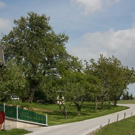 Bauernhof Hoenigshof Fischbach Exterior foto