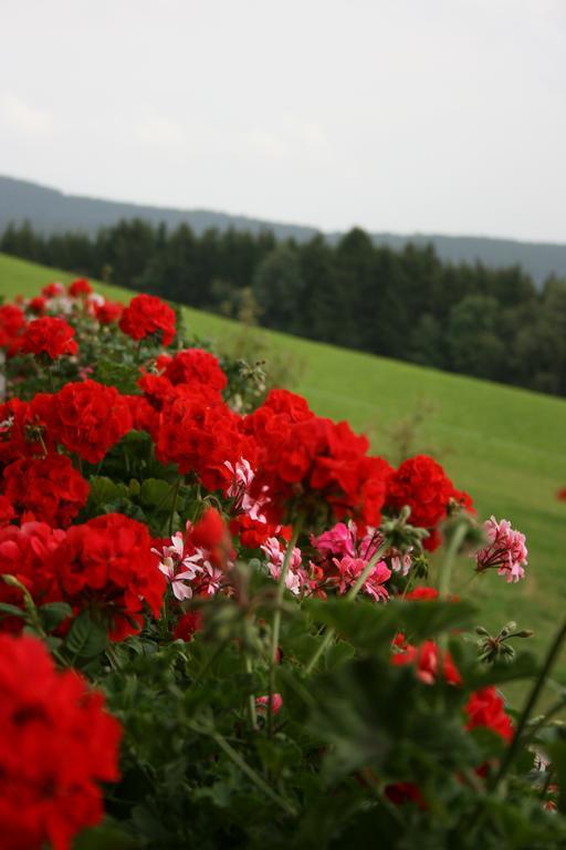 Bauernhof Hoenigshof Fischbach Exterior foto