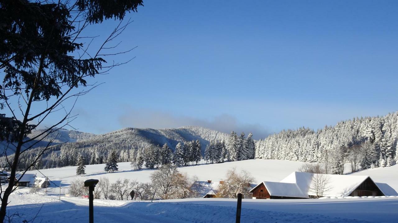 Bauernhof Hoenigshof Fischbach Exterior foto