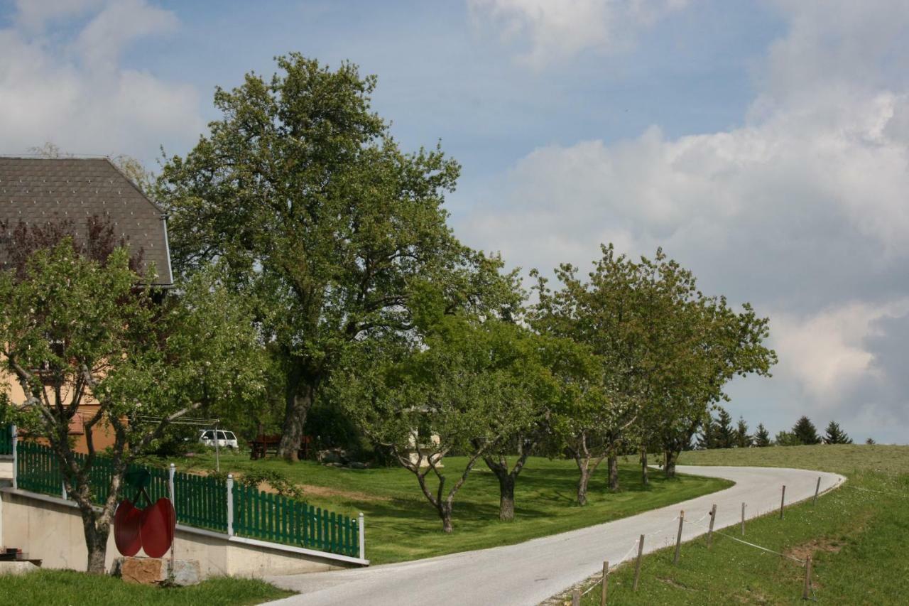 Bauernhof Hoenigshof Fischbach Exterior foto